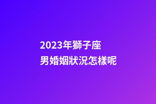 2023年獅子座男婚姻狀況怎樣呢-第1張-星座運勢-玄機派