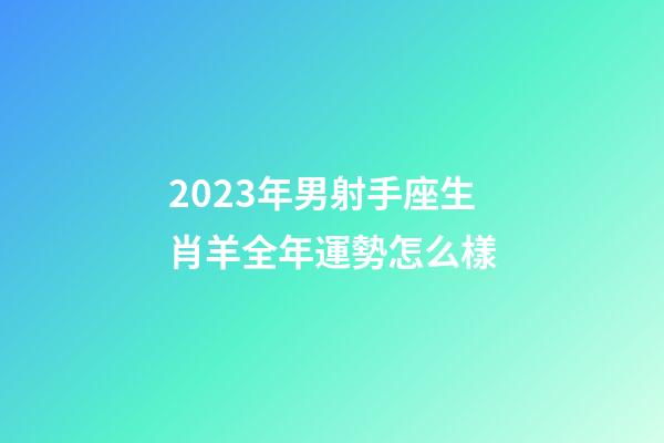 2023年男射手座生肖羊全年運勢怎么樣-第1張-星座運勢-玄機派