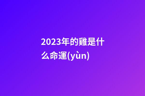 2023年的雞是什么命運(yùn)(明年水兔年，老話“黑兔送財(cái)來，雙春麥當(dāng)柴”，啥預(yù)兆？)-第1張-觀點(diǎn)-玄機(jī)派