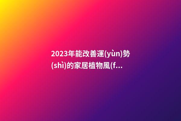 2023年能改善運(yùn)勢(shì)的家居植物風(fēng)水