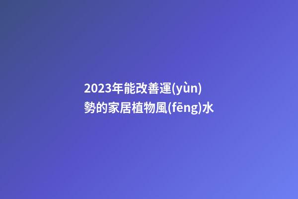 2023年能改善運(yùn)勢的家居植物風(fēng)水