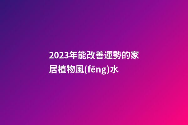 2023年能改善運勢的家居植物風(fēng)水