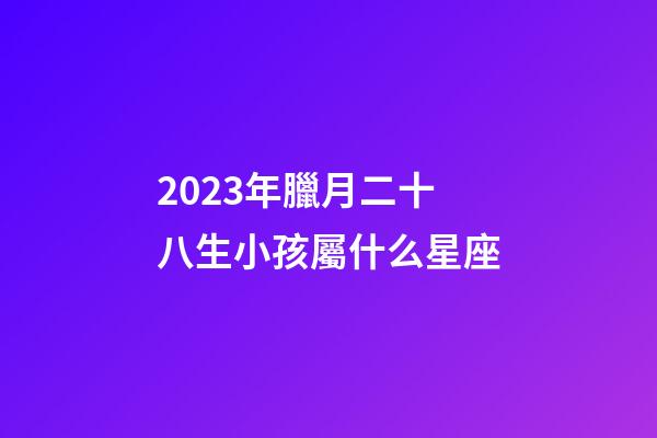2023年臘月二十八生小孩屬什么星座-第1張-星座運(yùn)勢(shì)-玄機(jī)派
