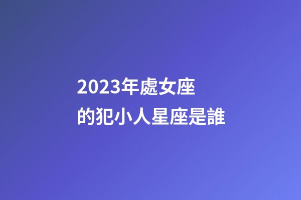 2023年處女座的犯小人星座是誰-第1張-星座運勢-玄機派