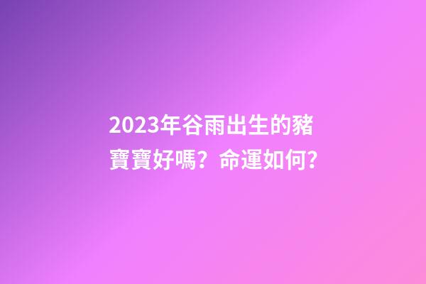 2023年谷雨出生的豬寶寶好嗎？命運如何？