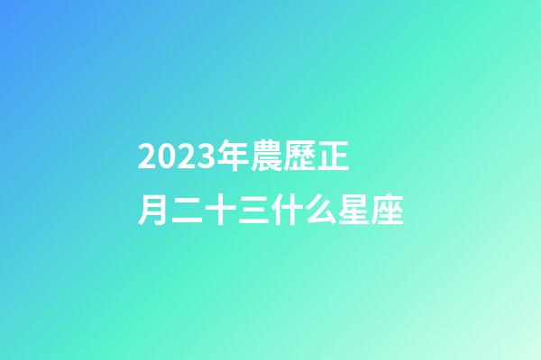 2023年農歷正月二十三什么星座-第1張-星座運勢-玄機派
