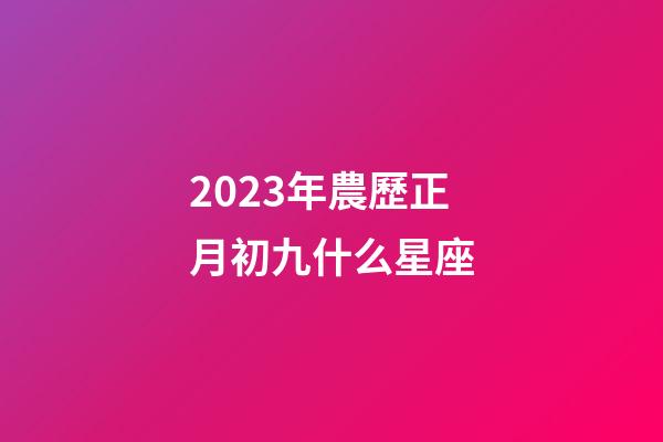 2023年農歷正月初九什么星座-第1張-星座運勢-玄機派