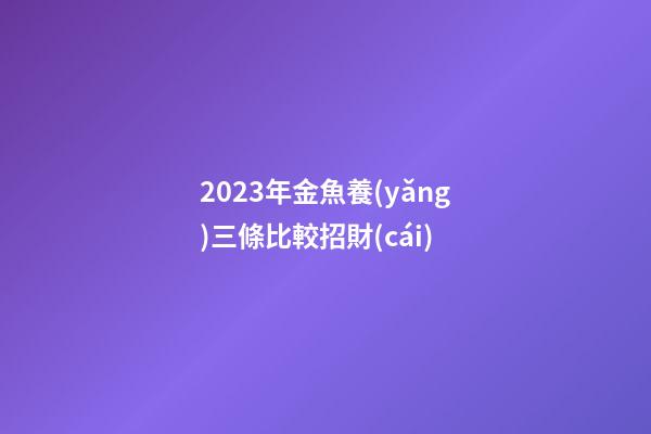 2023年金魚養(yǎng)三條比較招財(cái)