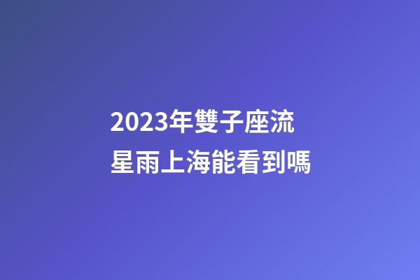 2023年雙子座流星雨上海能看到嗎-第1張-星座運勢-玄機派