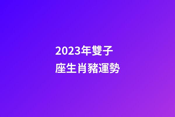 2023年雙子座生肖豬運勢-第1張-星座運勢-玄機派