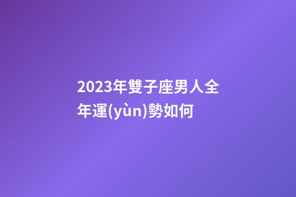 2023年雙子座男人全年運(yùn)勢如何-第1張-星座運(yùn)勢-玄機(jī)派