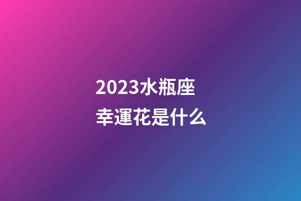 2023水瓶座幸運花是什么-第1張-星座運勢-玄機派