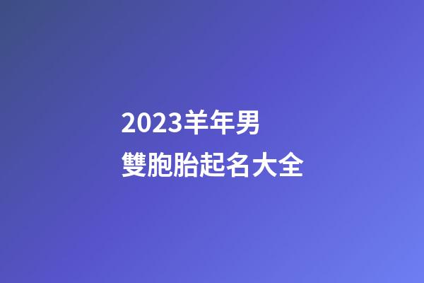 2023羊年男雙胞胎起名大全