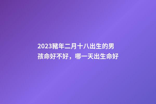 2023豬年二月十八出生的男孩命好不好，哪一天出生命好
