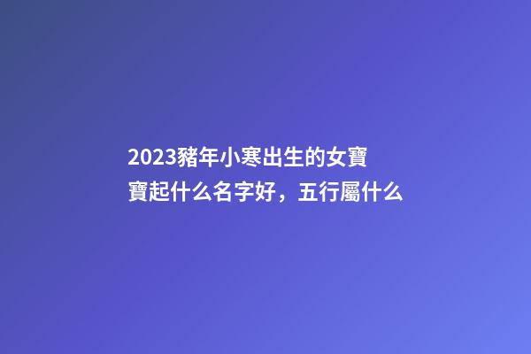2023豬年小寒出生的女寶寶起什么名字好，五行屬什么