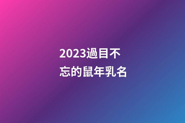 2023過目不忘的鼠年乳名
