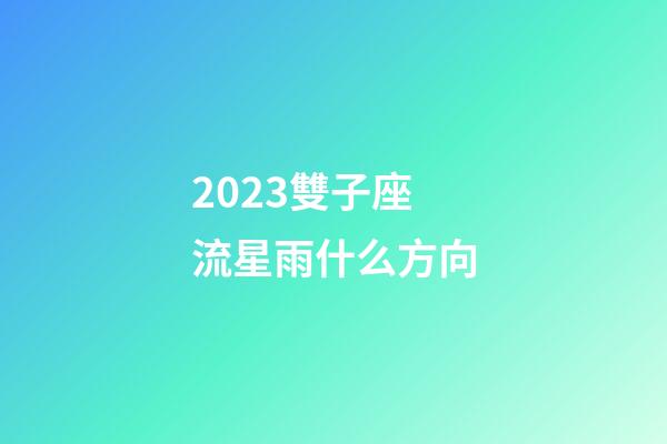 2023雙子座流星雨什么方向-第1張-星座運勢-玄機派