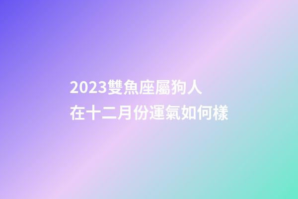 2023雙魚座屬狗人在十二月份運氣如何樣-第1張-星座運勢-玄機派