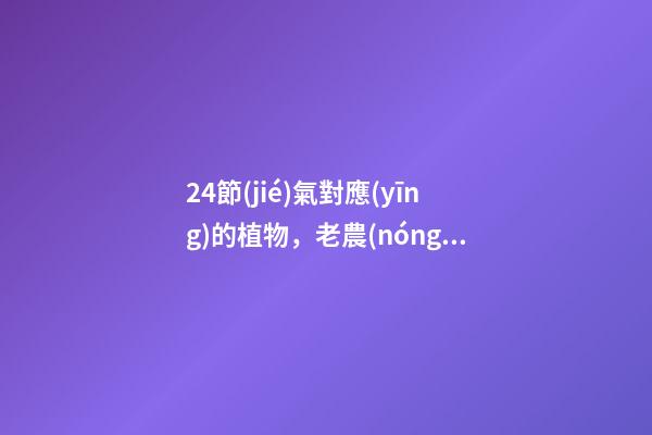 24節(jié)氣對應(yīng)的植物，老農(nóng)念叨五句俗語-第1張-觀點(diǎn)-玄機(jī)派