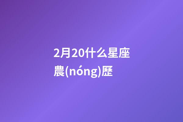 2月20什么星座農(nóng)歷-第1張-星座運(yùn)勢(shì)-玄機(jī)派