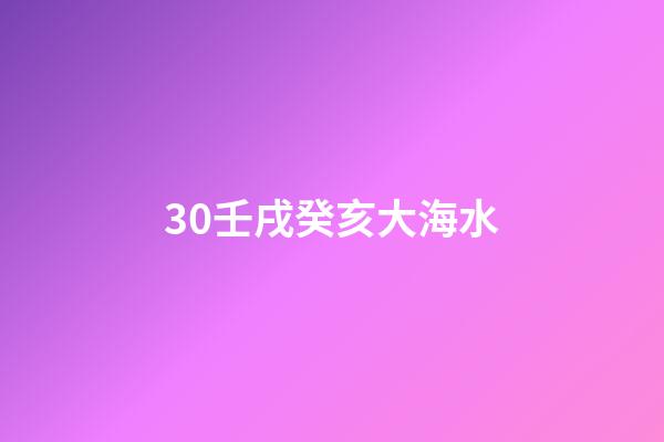30.壬戌癸亥大海水
