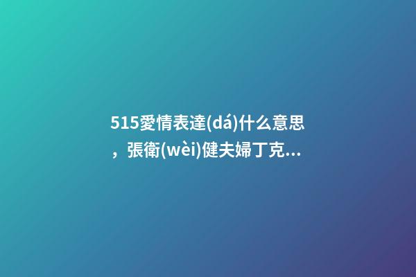 515愛情表達(dá)什么意思，張衛(wèi)健夫婦丁克相伴24年-第1張-觀點-玄機派