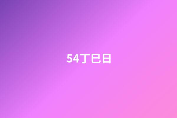 54.丁巳日