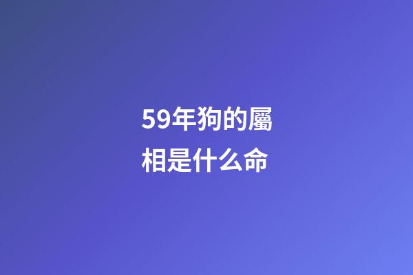 59年狗的屬相是什么命(2018年鼠馬生肖運程)-第1張-觀點-玄機派