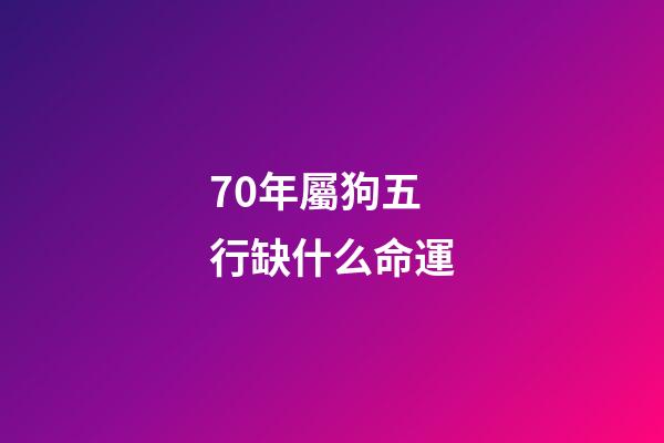 70年屬狗五行缺什么命運(「苦命狗」的后半輩子，特別是70年的，都是老天安排的!)-第1張-觀點-玄機派