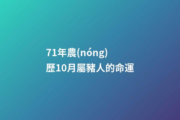 71年農(nóng)歷10月屬豬人的命運(71年的豬一生幾次婚姻 屬豬的愛情)-第1張-觀點-玄機派