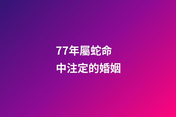 77年屬蛇命中注定的婚姻(今年“桃花旺”的生肖)-第1張-觀點-玄機派