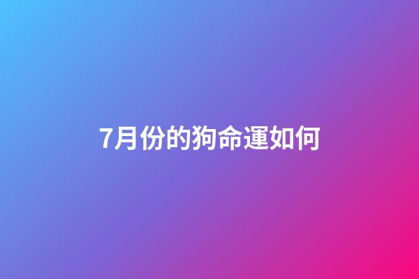 7月份的狗命運如何(一分鐘了解狗子一生)-第1張-觀點-玄機派