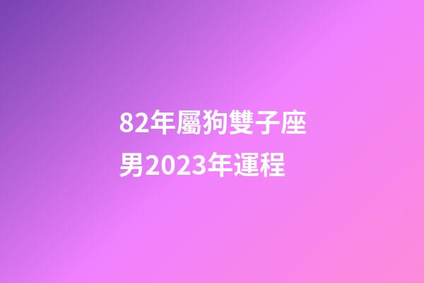 82年屬狗雙子座男2023年運程-第1張-星座運勢-玄機派