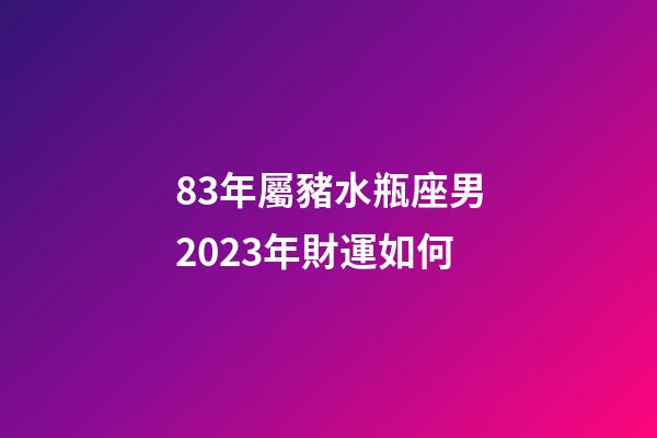 83年屬豬水瓶座男2023年財運如何-第1張-星座運勢-玄機派