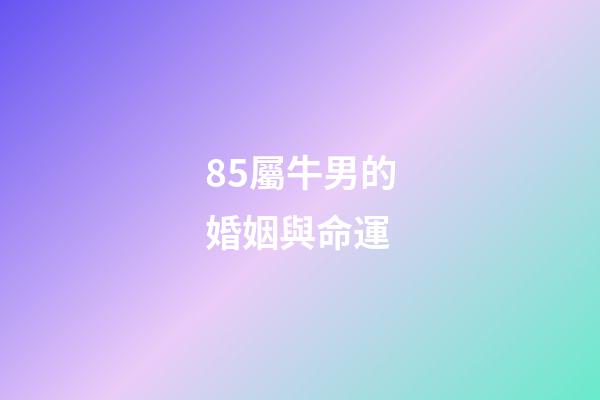 85屬牛男的婚姻與命運(漢蘭達陸放怎么選？今天告訴你答案)-第1張-觀點-玄機派