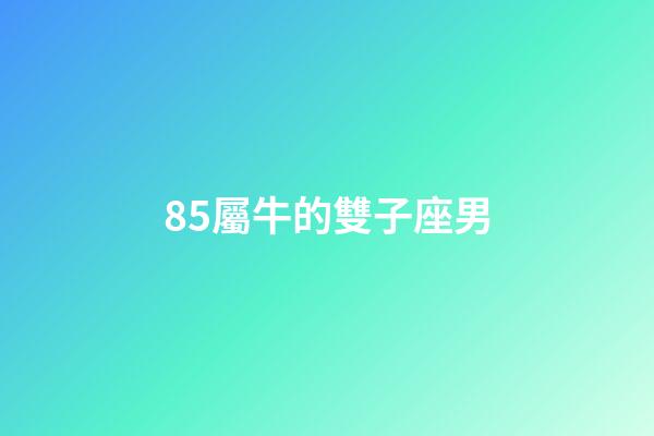 85屬牛的雙子座男-第1張-星座運勢-玄機派