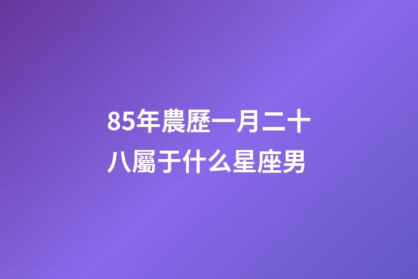 85年農歷一月二十八屬于什么星座男-第1張-星座運勢-玄機派
