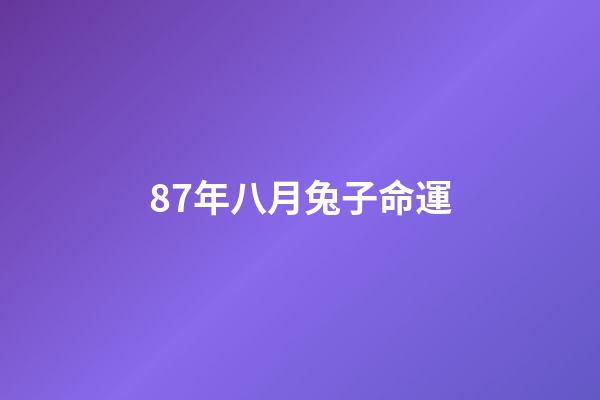 87年八月兔子命運(屬兔的做什么生意賺錢 87年兔適合做什么工作)-第1張-觀點-玄機(jī)派