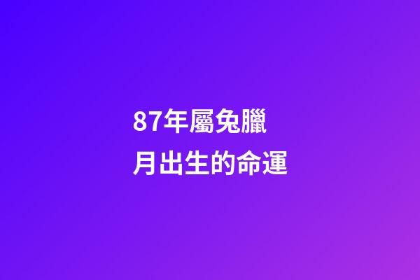 87年屬兔臘月出生的命運(屬虎和屬兔臘月初一真的轉運了，春節前外債還清，春節后財運爆棚)-第1張-觀點-玄機派