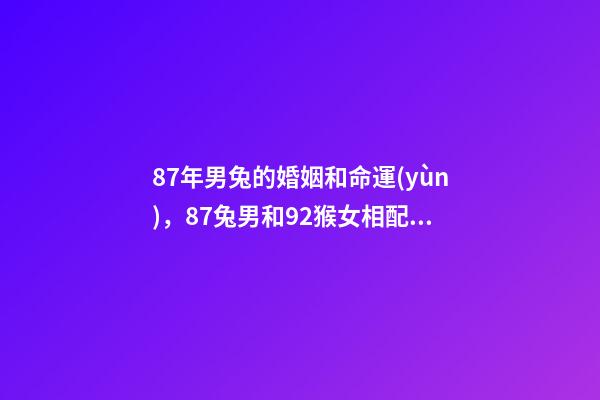 87年男兔的婚姻和命運(yùn)，87兔男和92猴女相配嗎-第1張-觀點(diǎn)-玄機(jī)派