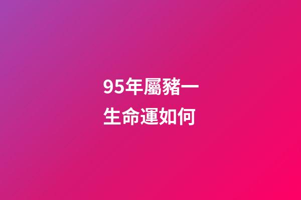 95年屬豬一生命運如何(95年屬豬的中年婦女的內心獨白)-第1張-觀點-玄機派