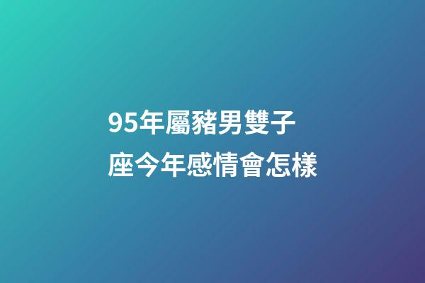 95年屬豬男雙子座今年感情會怎樣