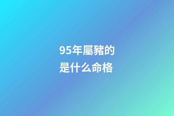 95年屬豬的是什么命格(未來三年財源廣進功成名就的四大生肖)-第1張-觀點-玄機派