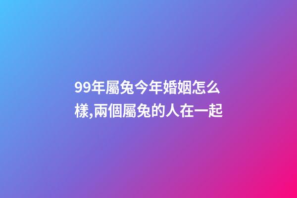 99年屬兔今年婚姻怎么樣,兩個屬兔的人在一起-第1張-觀點-玄機派