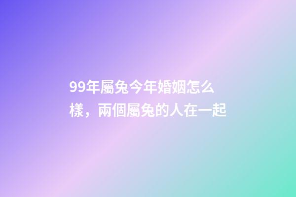99年屬兔今年婚姻怎么樣，兩個屬兔的人在一起-第1張-觀點-玄機派