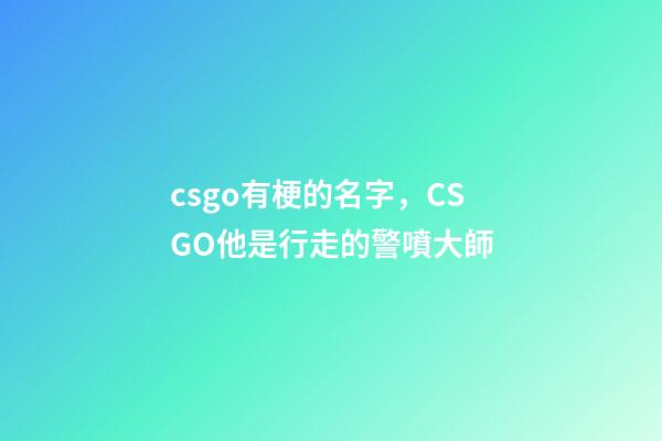 csgo有梗的名字，CSGO他是行走的警噴大師-第1張-觀點-玄機派
