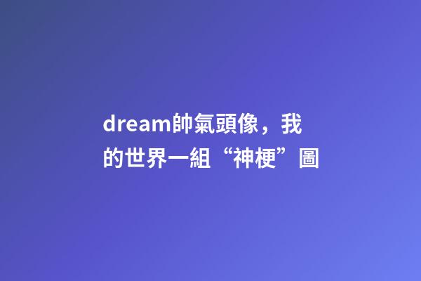 dream帥氣頭像，我的世界一組“神梗”圖-第1張-觀點-玄機派