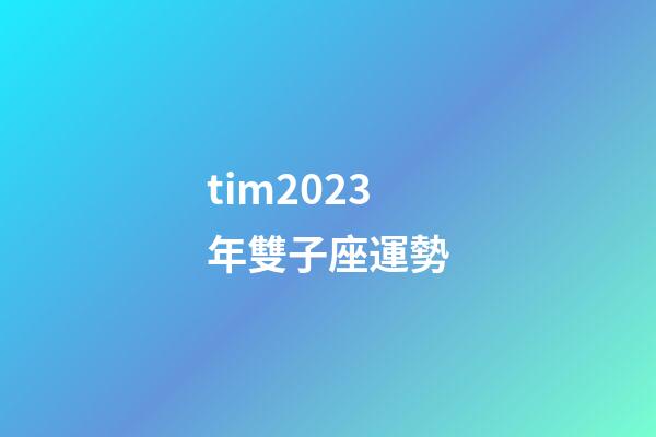 tim2023年雙子座運勢-第1張-星座運勢-玄機派