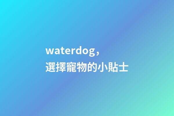 waterdog，選擇寵物的小貼士-第1張-觀點-玄機派