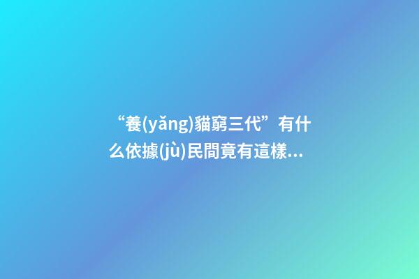 “養(yǎng)貓窮三代”有什么依據(jù)?民間竟有這樣的說法